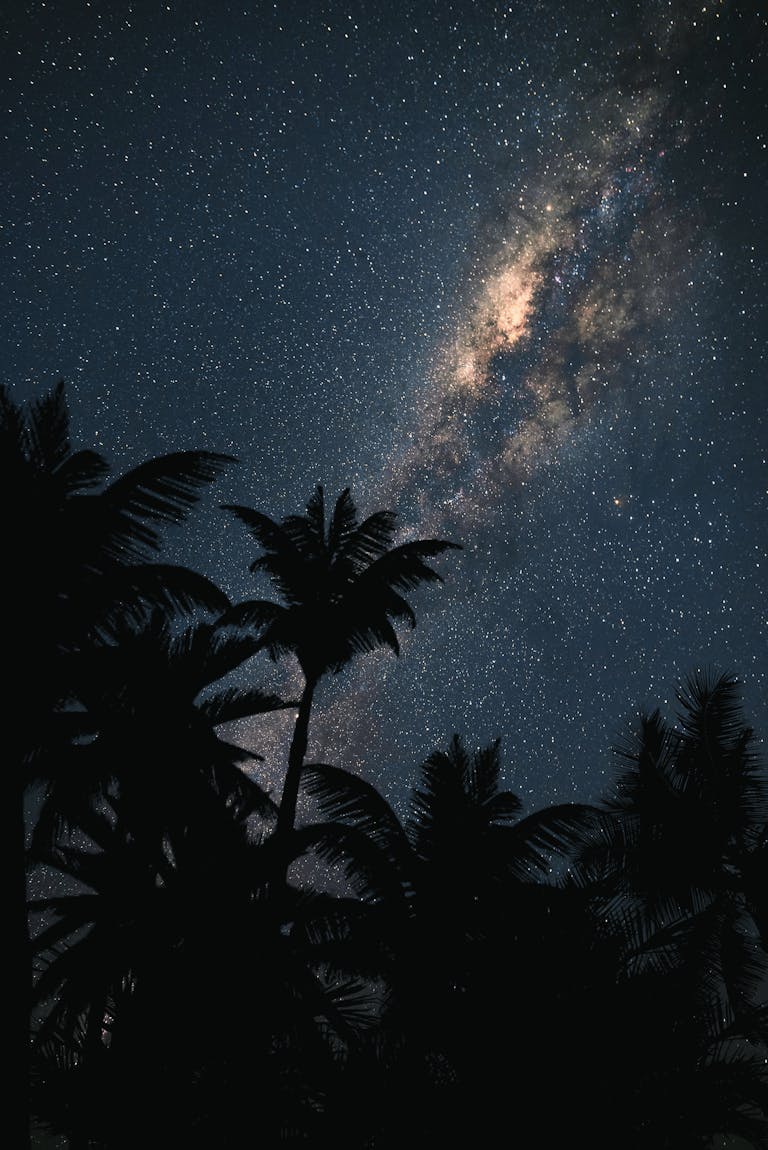 A breathtaking vertical view of the Milky Way against a starry sky with silhouetted palm trees.