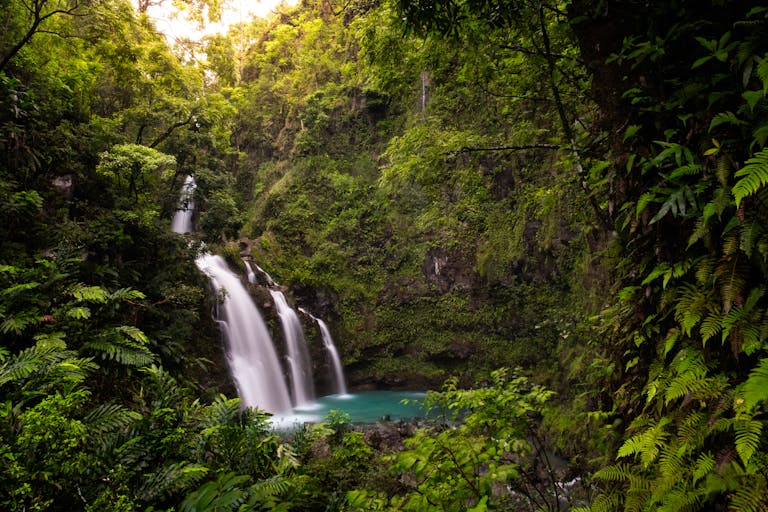 A tranquil waterfall in a dense, green Hawaiian forest during daylight.