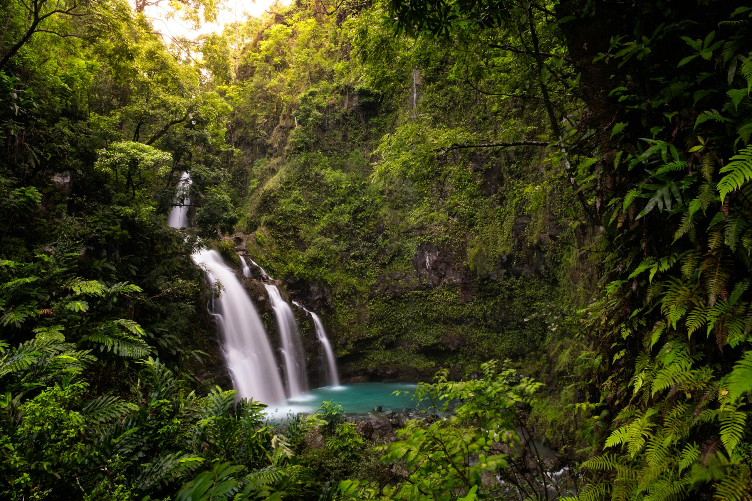 A tranquil waterfall in a dense, green Hawaiian forest during daylight.