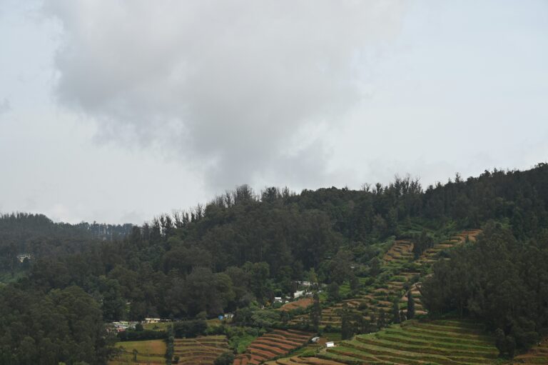 Chapter Fifteen: Rwanda, 1994