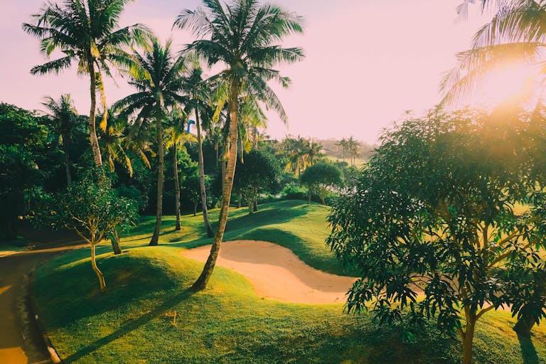 Scenic golf course with palm trees and sand bunkers under the warm tropical sun.